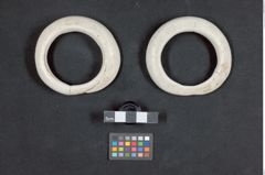 Foto (Übersicht) von Ringe aus Conus-Schale (NHMW-ZOO-MO-0081100-ETH-140)
